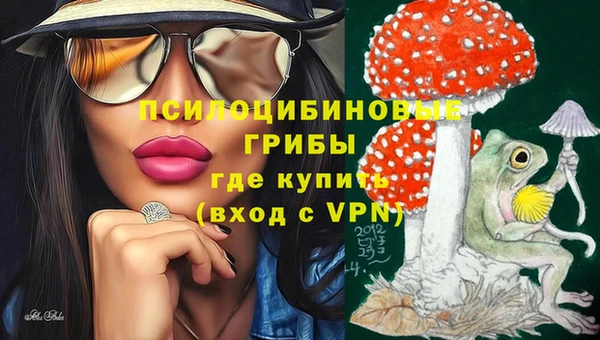 ECSTASY Аркадак