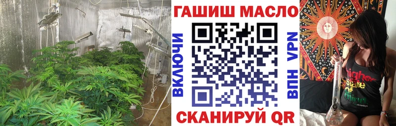 Купить где  Подпорожье  ТГК концентрат 